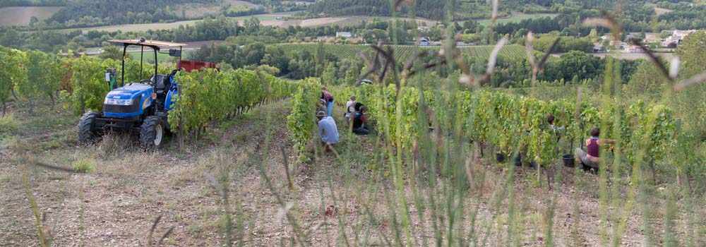 salon de la gourmandise exposants vendanges x